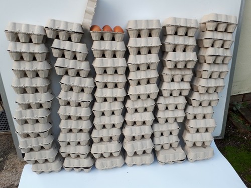 60xnew plain egg boxes - plain, boxes/cartons