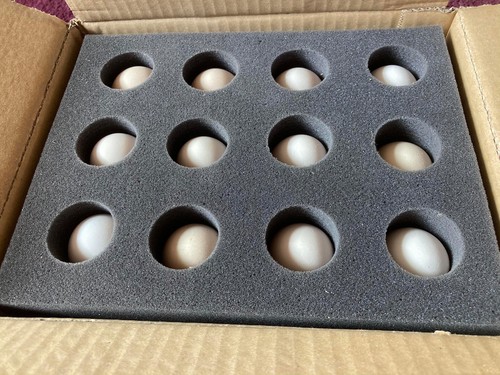 Egg foam shippers - shippers, 12