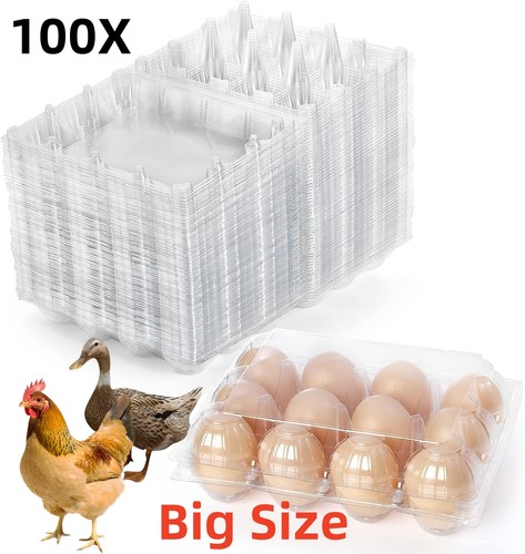 Pack 100 egg - pack,
