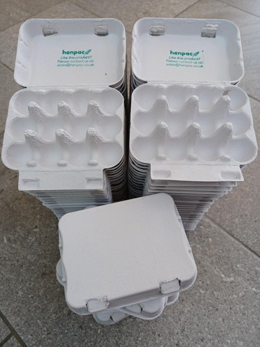 Quail egg boxes - 50,