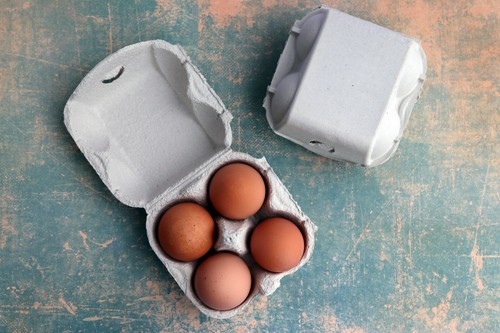 Henpac grey egg - fits, xl