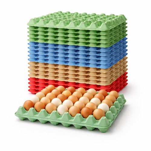Egg trays holds eggs - egg,