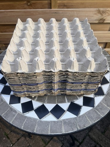 Cardboard egg trays - egg,