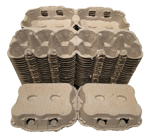 Dozen 2 x 6 fresh - 6,