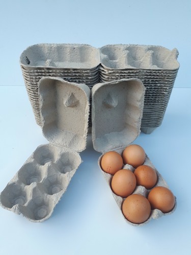 30xnew plain egg boxes - plain,