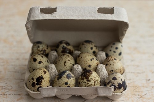 Henpac quail egg - henpac,