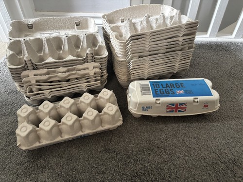 Reclaimed empty egg boxes - empty,