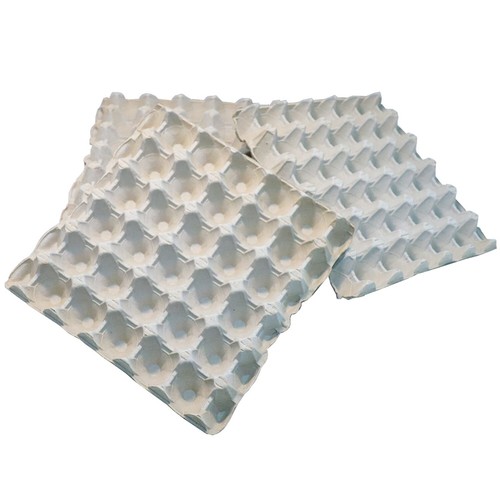 Home centre egg boxes trays - home,