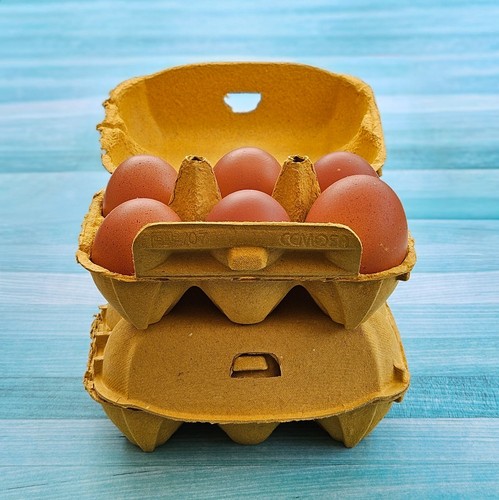Henpac yellow egg box - , 6-egg