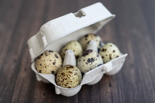 Henpac quail egg - egg, boxes