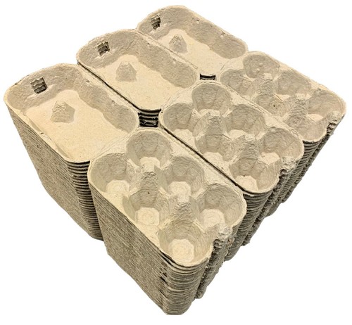 Dozen cardboard egg - cardboard,